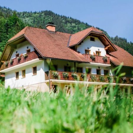 סולצאבה Na Logu - Farm Stay Ambroz Gregorc מראה חיצוני תמונה